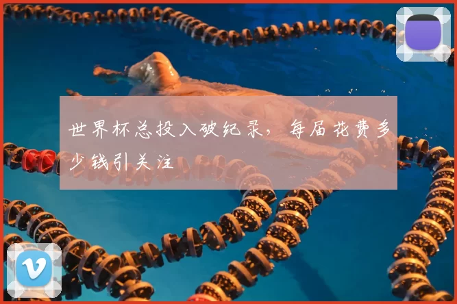 世界杯总投入破纪录，每届花费多少钱引关注