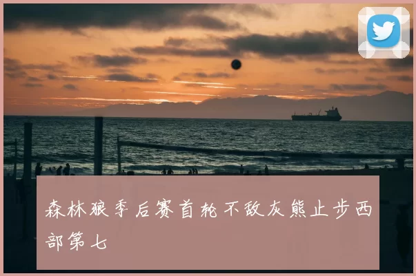 森林狼季后赛首轮不敌灰熊止步西部第七