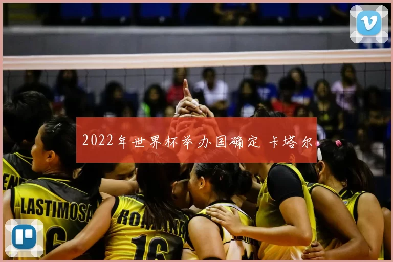 2022年世界杯举办国确定 卡塔尔