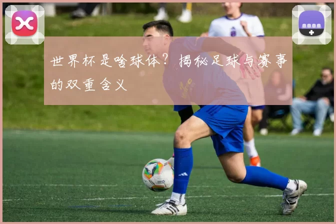 世界杯是啥球体？揭秘足球与赛事的双重含义