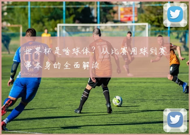 世界杯是啥球体?从比赛用球到赛事本身的全面解读