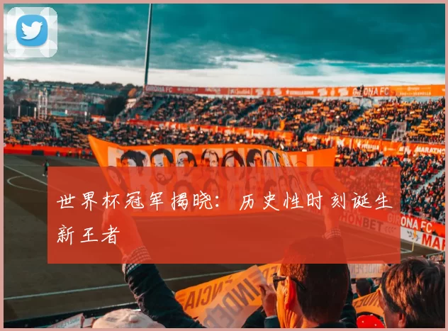 世界杯冠军揭晓:历史性时刻诞生新王者