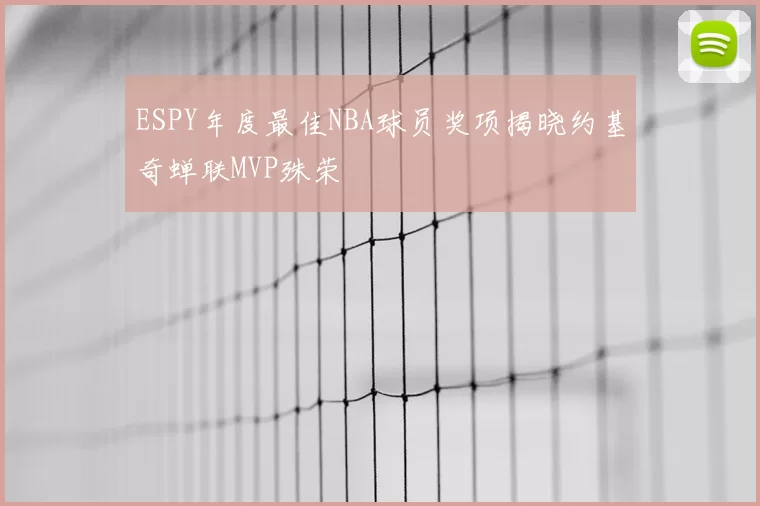 ESPY年度最佳NBA球员奖项揭晓约基奇蝉联MVP殊荣