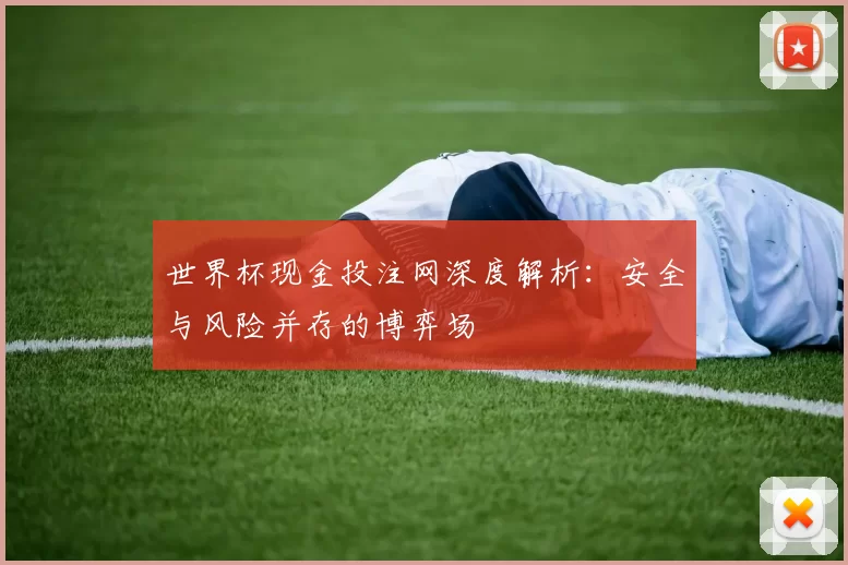 世界杯现金投注网深度解析:安全与风险并存的博弈场