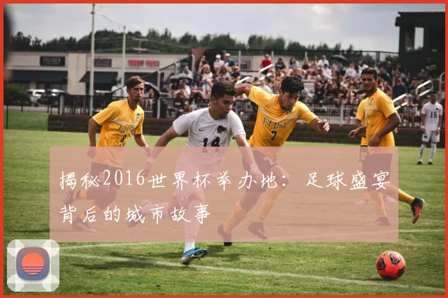 揭秘2016世界杯举办地：足球盛宴背后的城市故事