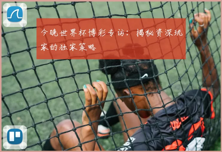 今晚世界杯博彩专访：揭秘资深玩家的独家策略