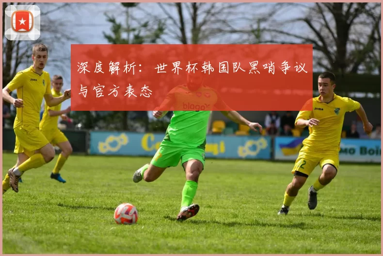 深度解析：世界杯韩国队黑哨争议与官方表态
