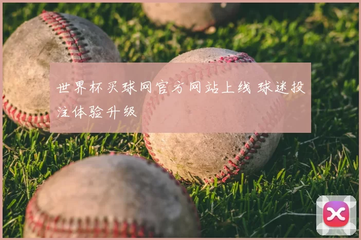 世界杯买球网官方网站上线 球迷投注体验升级